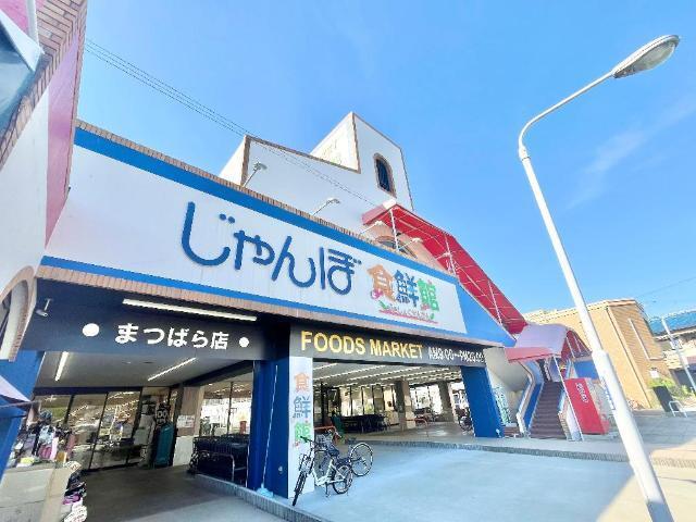 ワッツウィズ松原じゃんぼ店：730m