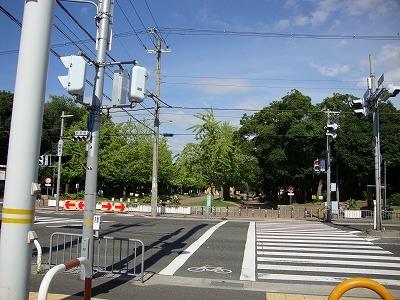 大泉緑地：1197m