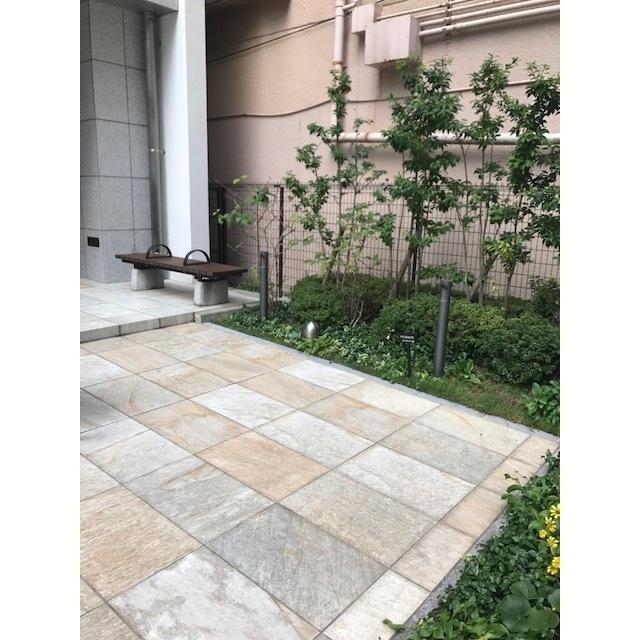 アンビエンテ四ツ橋（1204） 物件画像