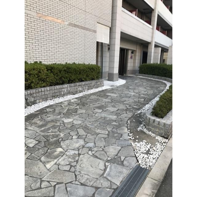 Ｓ−ＲＥＳＩＤＥＮＣＥ野江（604） 物件画像