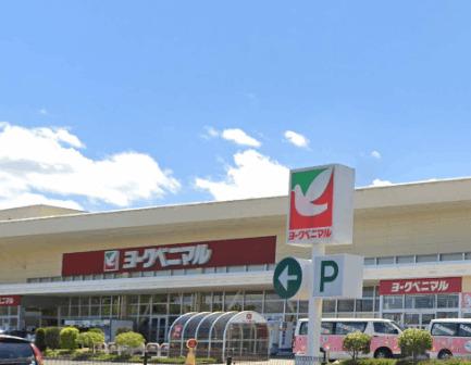 ヨークベニマル南中山店：3495m