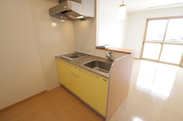 ソレイユＫ（205） 部屋画像