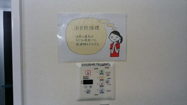 ラ ヴェリータ（102） 部屋画像