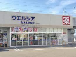 ウエルシア射水小杉店：534m