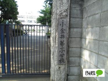 小金井市立小金井第一小学校：307m