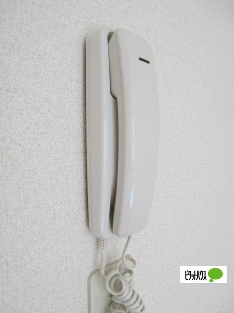 マリモフラッツ 部屋画像