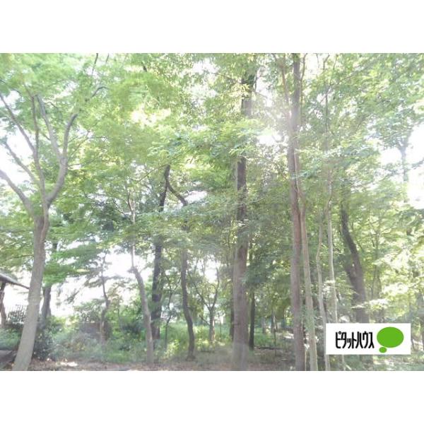 浴恩館公園:957m