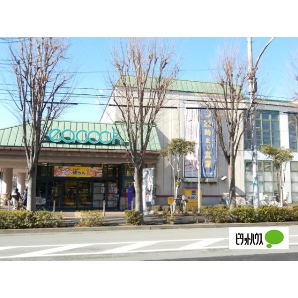ピーコックストア東小金井店:309m