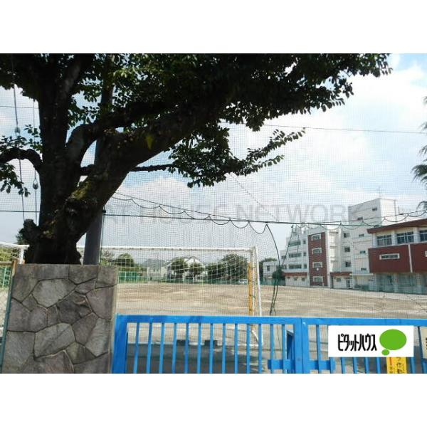 小金井市立緑中学校:1078m