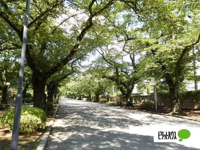 私立国際基督教大学高校：1078m