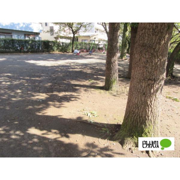 野川緑地公園:1050m