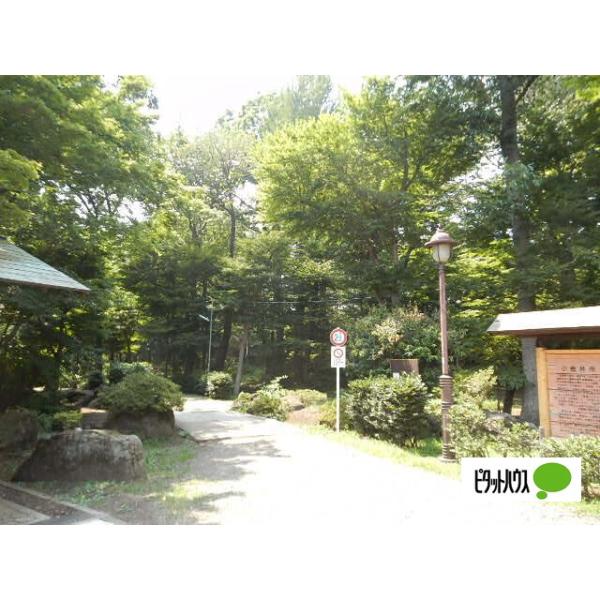 滄浪泉園緑地:1002m