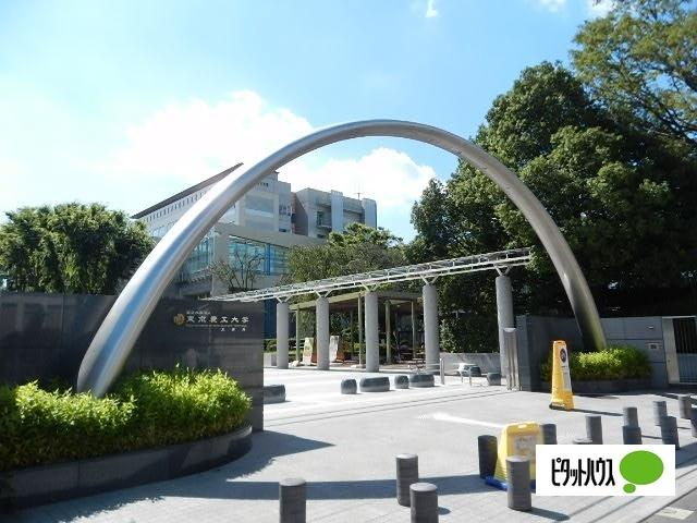 国立東京農工大学工学部：1506m