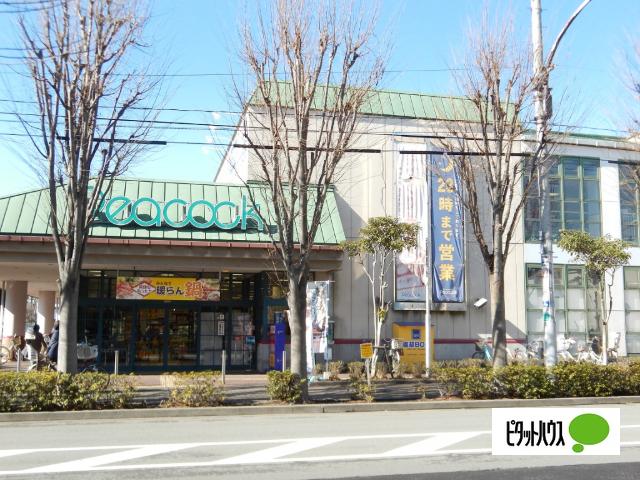 ピーコックストア東小金井店：519m