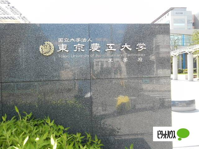 国立東京農工大学工学部：837m