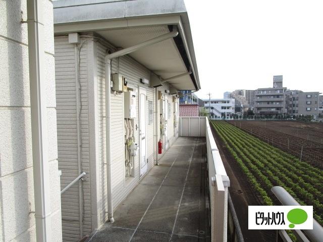 メゾン八葉A（202） 共有部分