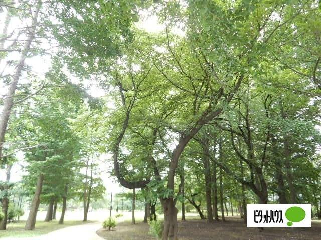 周辺環境画像