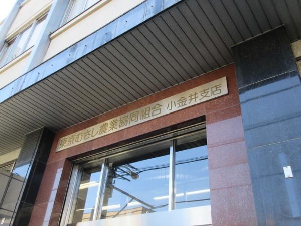 周辺環境画像
