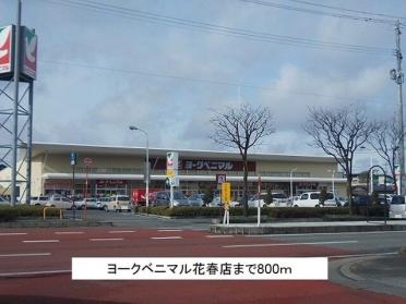 ヨークベニマル花春町店：800m