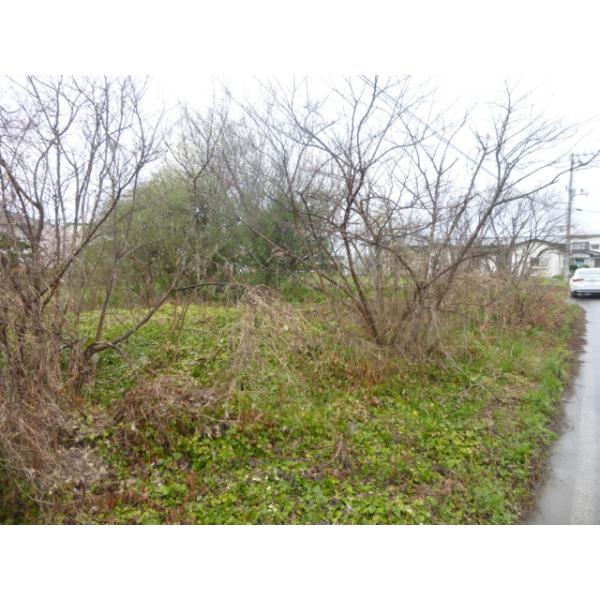 福島県喜多方市塩川町小府根字蓮沼