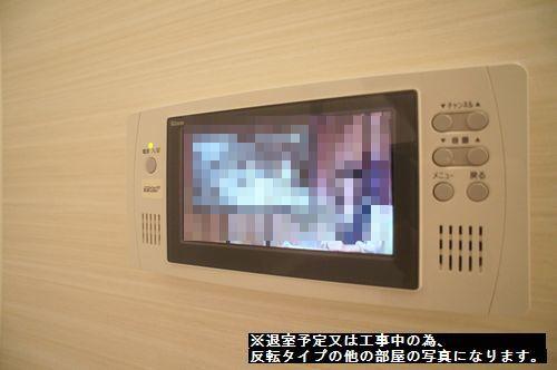 エントビア  　シャーメゾン（102） セキュリティ