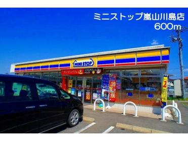 ミニストップ嵐山川島店：600m