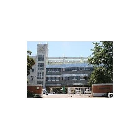 桜ヶ丘小学校：850m