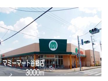 マミーマート谷郷店：3000m