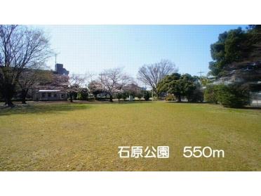 石原公園：550m