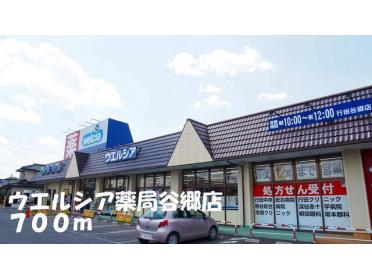 ウエルシア薬局谷郷店：700m