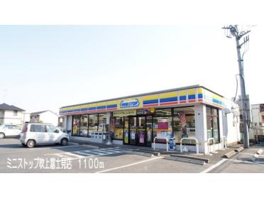 ミニストップ吹上富士見店：1100m