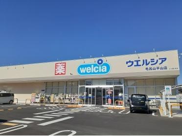 ウエルシア毛呂山平山店：800m