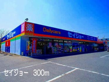 セイジョー　嵐山店：300m