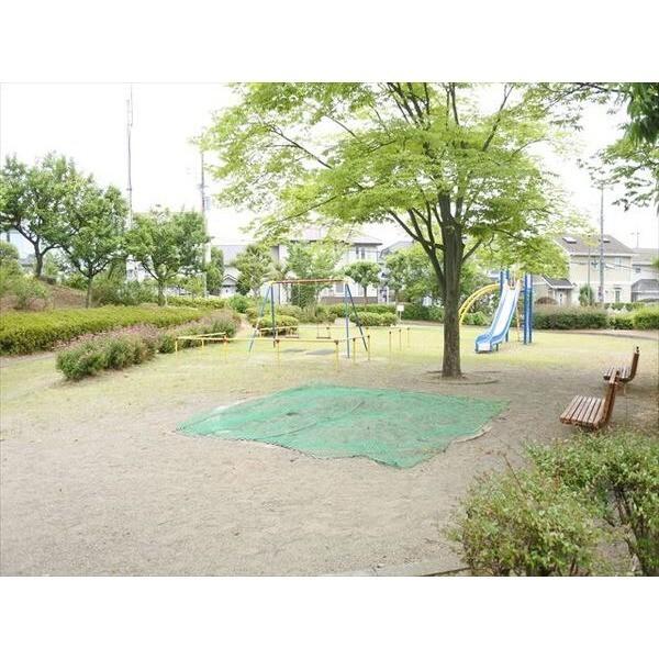 第1柳沢ハイツ（206） 部屋画像