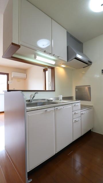 Ｒｏｓｅ Ｖｉｌｌａ(ﾛｰｽﾞｳﾞｨﾗ)　Ｄ（206） 部屋画像