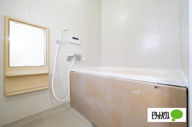 比企郡吉見町大字北吉見一戸建 バス／シャワー