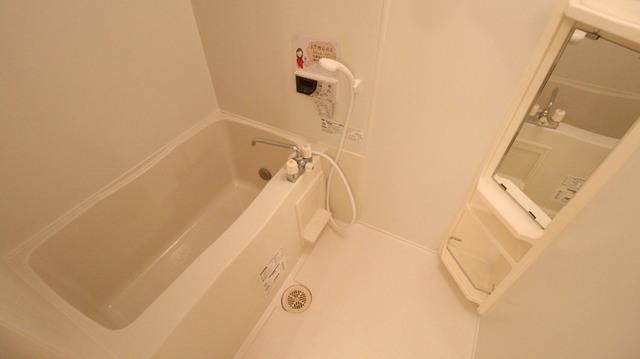 Ｒｏｓｅ Ｖｉｌｌａ(ﾛｰｽﾞｳﾞｨﾗ)　Ｄ（206） 部屋画像