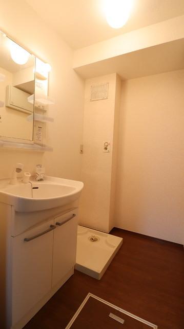 Ｒｏｓｅ Ｖｉｌｌａ(ﾛｰｽﾞｳﾞｨﾗ)　Ｄ（206） 部屋画像