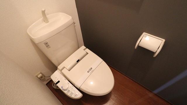 Ｒｏｓｅ Ｖｉｌｌａ(ﾛｰｽﾞｳﾞｨﾗ)　Ｄ（206） 部屋画像