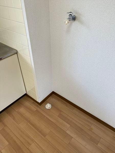 ラフォーレ竹沢（102） その他部屋・スペース