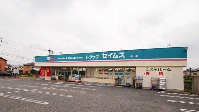 セイムス嵐山店：1100m