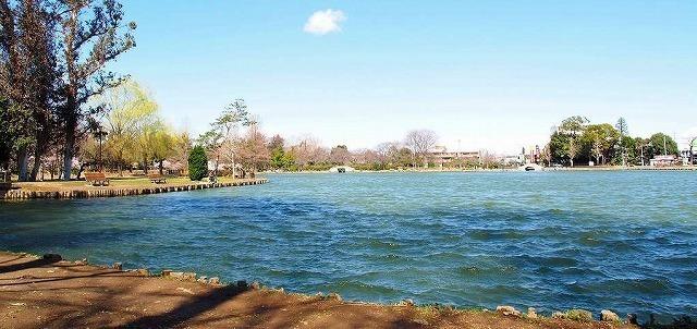 水城公園：300m