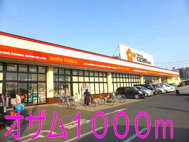 スーパーオザム：1000m