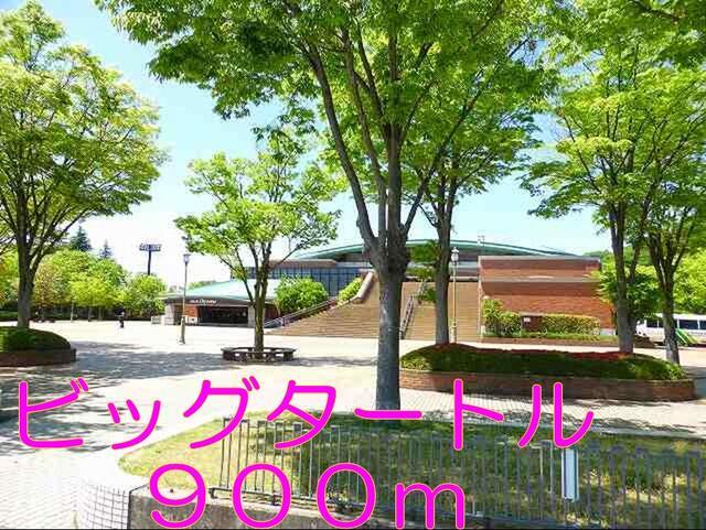 ビッグタートル：900m