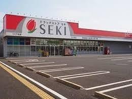 ドラッグストア　セキ小川町店：2200m