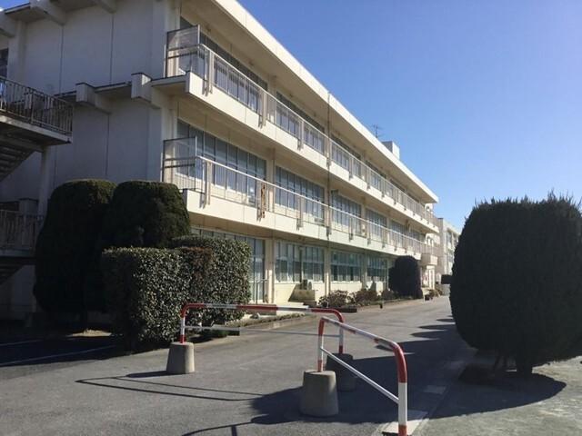 幡羅小学校：350m