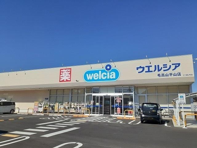 ウエルシア毛呂山平山店：500m