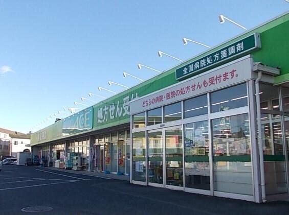 ドラックエース箭弓町店：700m