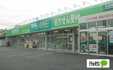 ドラッグ・エース箭弓町店：205m