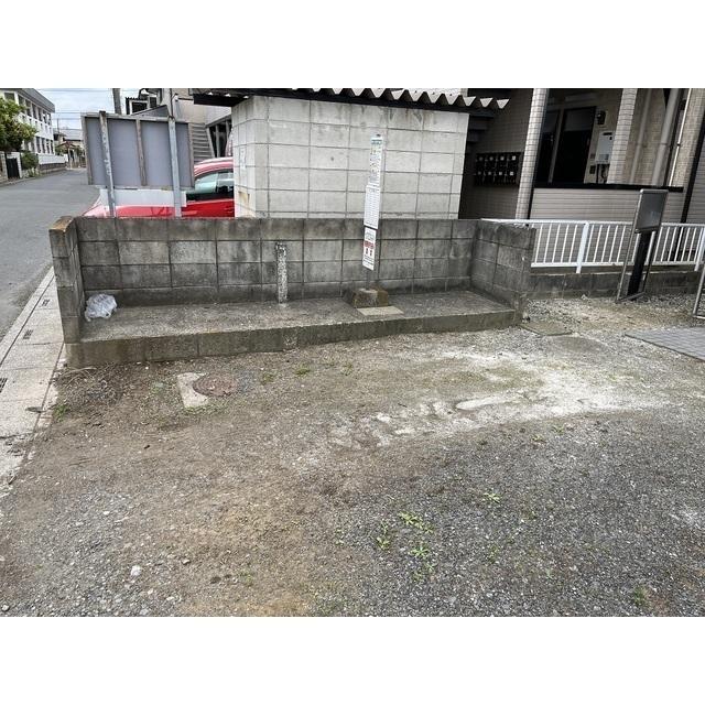 ガザニア（225） その他